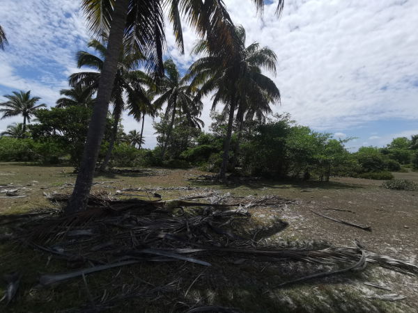 Côté au bord de canal de Pangalanes