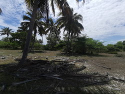 Côté au bord de canal de Pangalanes