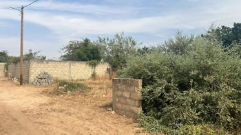 terrain 300 mètres carrés  à vendre à Saly