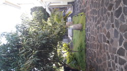 Le jardin avec arbres fruitiers