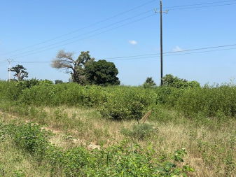 Vente 1 hectare sandiara M&#039;Bour Sénégal