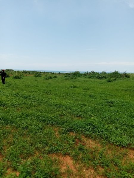 Vente lots 10 terrains 300 metres carres Guereo M'Bour Sénégal