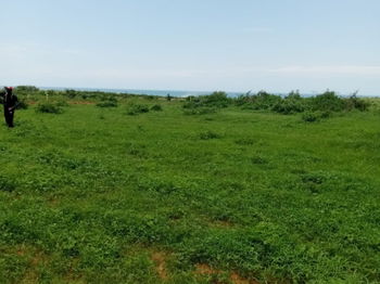 Vente lots 10 terrains 300 metres carres Guereo M&#039;Bour Sénégal