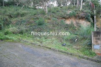 Vente 3027 terrains dans l&#039;urbanisation Montbarbat Maçanet Selva