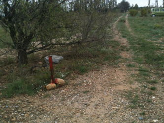 Vente Terrain NC forage Saint-Hippolyte Pyrénées Orientales