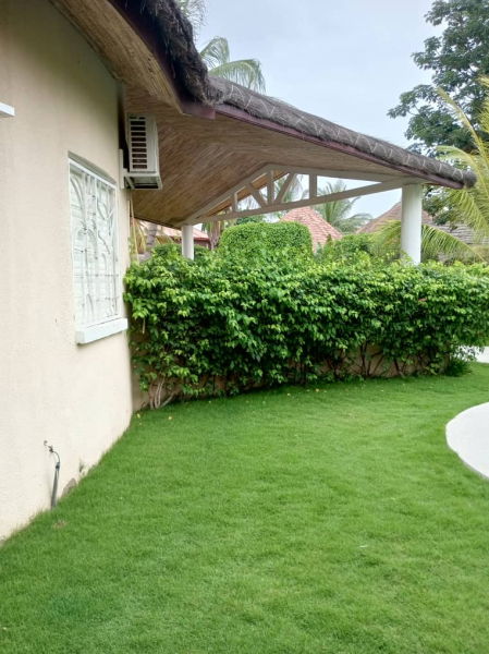 Jardin