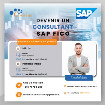 Annonce Formation SAP Fico Tunis Tunisie