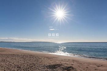 Vente Terrain SERINA Hammamet Tunisie