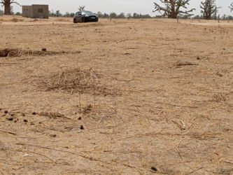 Annonce Vente Terrain Louly Ngongom M&#039;Bour Sénégal