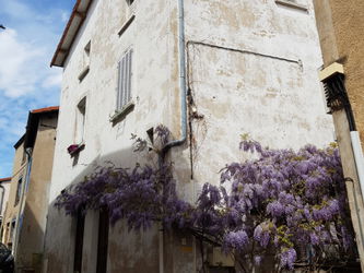 Vente grande maison atypique Les Martres-de-Veyre Puy Dôme Puy de Dôme