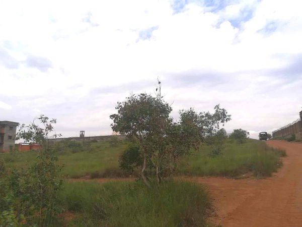 Terrain