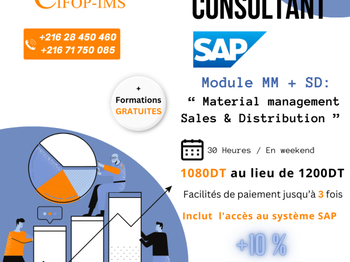 Formation SAP MM &amp; SD Métier Tunis Tunisie