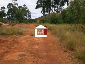 Vente 1 terrain 20Ha morcelable Ankidona Fianarantsoa Madagascar