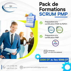Scrum + PMP
