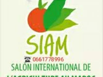Location Appartements Meublés Siam Meknès Maroc
