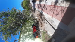 patio arriere