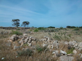 Vente Terrain 2065m² Essaouira Maroc