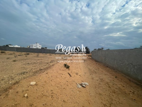 Vente 1 terrain titre route phare Djerba Tunisie
