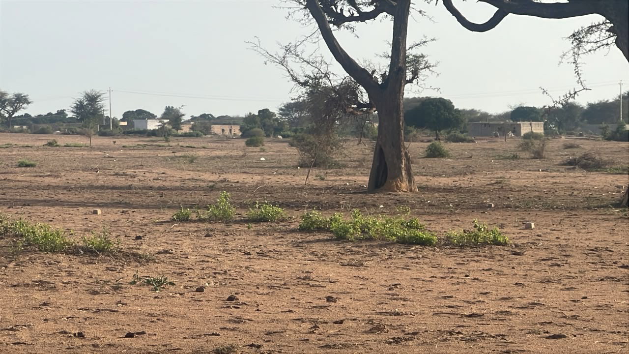 terrains 300 mètres carrés  à vendre à Malicounda