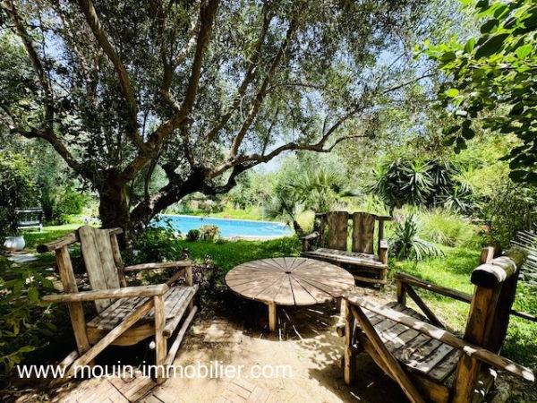 JARDIN ET PISCINE