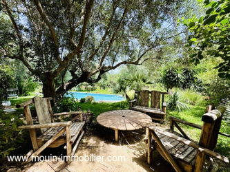 JARDIN ET PISCINE