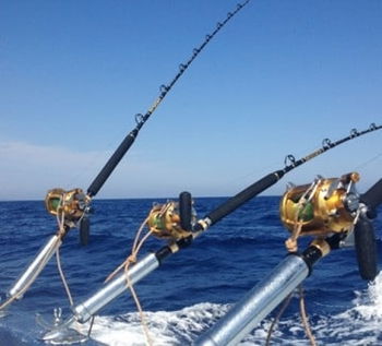 Annonce fonds commerce VC 047 société pêche beau catamaran Ile Nosy Be