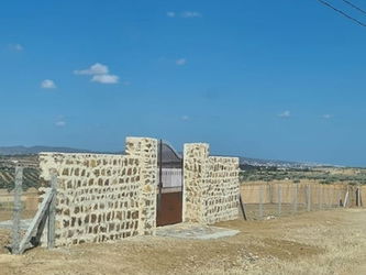 Vente TERRAIN MZIRAA Birbouregba Hammamet Tunisie