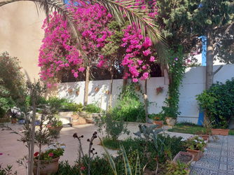 Jardin