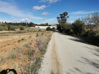 Vente Terrain Bir Choba Mango immobilier Hammamet Tunisie
