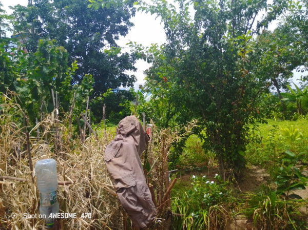 Terrain à vendre à Ampefy 1175m2