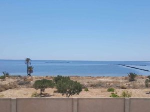 Annonce Vente terrain bâtir titre foncier individuel Sfax Tunisie