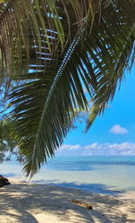 Villa balinaise à vendre sur l île Sainte Marie à Madagascar