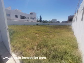 Annonce Vente TERRAIN SYLVIA Hammamet Route Ceinture Tunisie