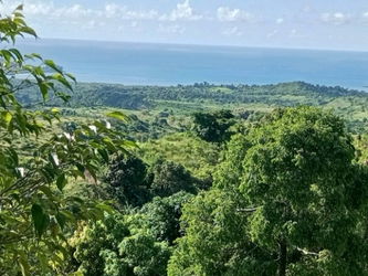 Vente PRIX ABORDABLE! PARCELLE TERRAIN 1 VUE ÉPOUSTOUFLANTE! Madagascar