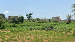 Terrain de 450m2 à Kiniabour