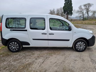 kangoo