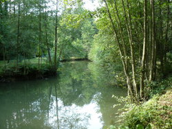 Etang 1