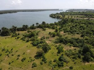 Abidjan Baie des milliardaires bordure lagune vente terrain 20ha ACD