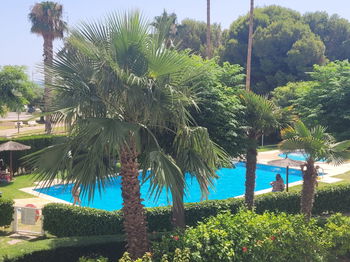 Annonce Vente APPARTEMENT 100m PLAGE EL CAMPELLO ALICANTE Espagne