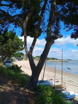 La plage