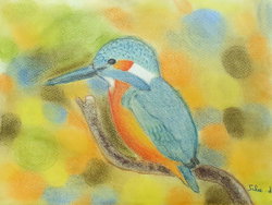 pastel sec