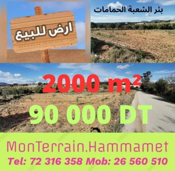 Vente Terrain Hammamet Tunisie