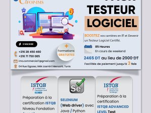Annonce Pack Formation Test Logiciel Tunis Tunisie