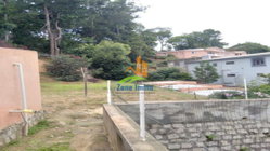 terrain