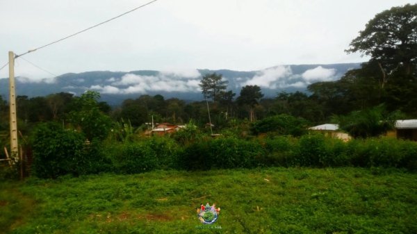 Vue sur le mont Nimba depuis le villafge de Yealeu