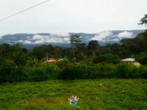 Vue sur le mont Nimba depuis le villafge de Yealeu