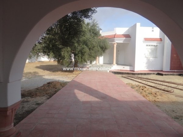 Location Villa Rosa Hammamet el basbassia Tunisie