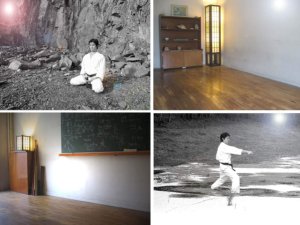 Stages d&rsquo;Arts martiaux et de Revitalisation par budoka 7e dan Japon