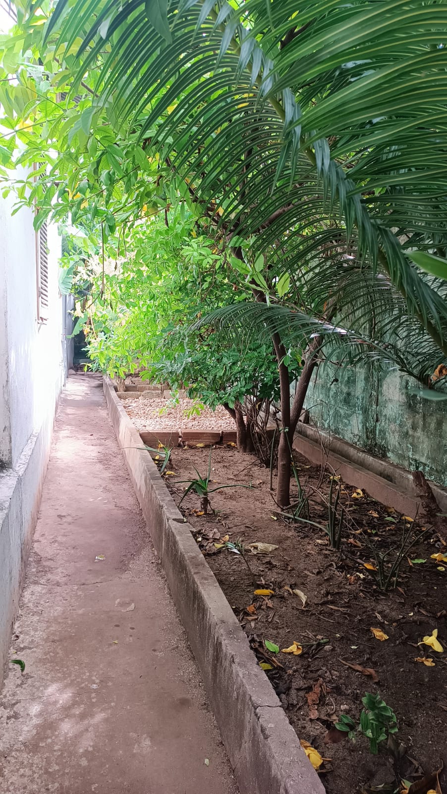 Jardin
