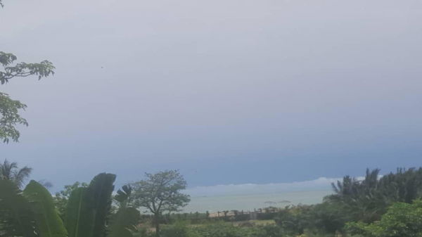 une des vues depuis la salle à manger